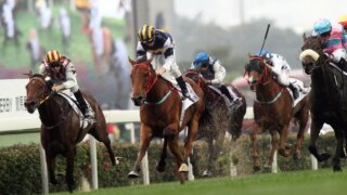 歴代トップの競馬ビデオゲームとは |リアル競馬との違いや魅力を解説