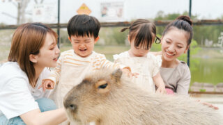 夏休みのお出かけに！動物とふれあえる！関西の動物園まとめ