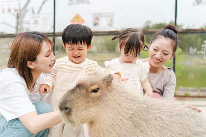 夏休みのお出かけに！動物とふれあえる！関西の動物園まとめ