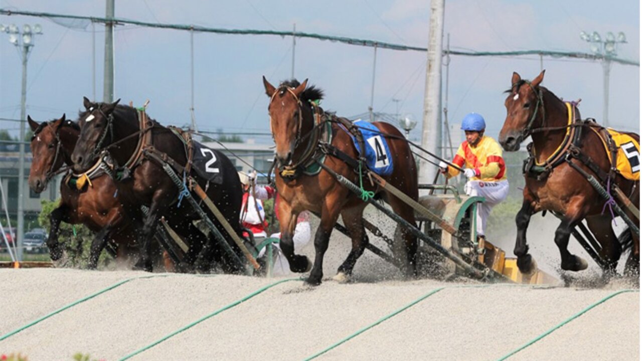 帯広競馬場のばんえい競馬とは？特徴や予想の組み立て方を解説！