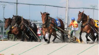 帯広競馬場のばんえい競馬とは？特徴や予想の組み立て方を解説！