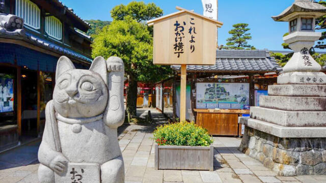 三重県でしか買えないお土産まとめ！絶対喜ばれるおすすめ5選