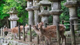 奈良県のパワースポットで最強の場所は？定番から穴場まで紹介