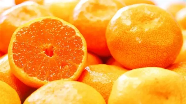 和歌山県有名なものまとめ！地元民のおすすめは？グルメや観光地も紹介