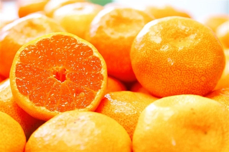 和歌山県有名なものまとめ！地元民のおすすめは？グルメや観光地も紹介