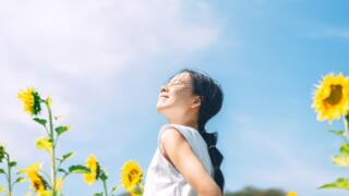 日本におけるFitLine:品質と健康意識の調和