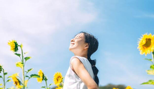 日本におけるFitLine:品質と健康意識の調和